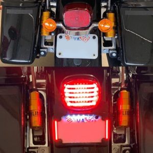 Performance Bagger using Custom Dynamics LED License Plate Frame & ProBEAM LED Taillight